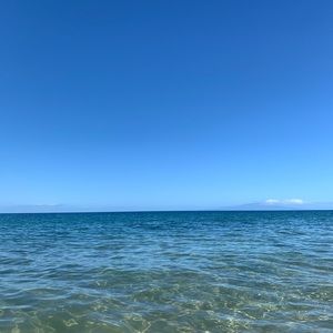 Meet your Posher, Sutton